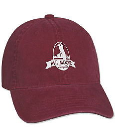 Business Caps and Hats: Embroidered Washed Cotton Baseball Cap